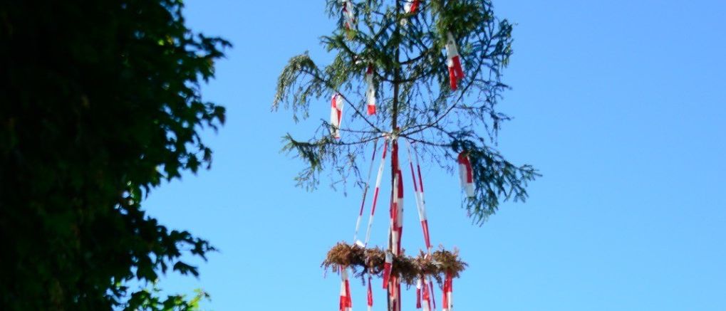 Ein Mann klettert auf einen Baum mit einer Flagge im Garten mit einem Gebäude im Hintergrund.