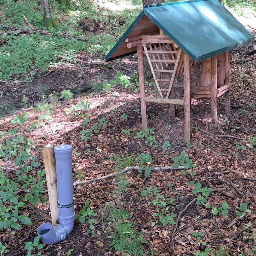 Ein kleines Holzhaus mit grünem Dach in einem Wald, ausgestattet mit einer Leiter und einem Heuhaufen. In der Nähe ist eine blaue Rohrleitung in den Boden eingebettet.