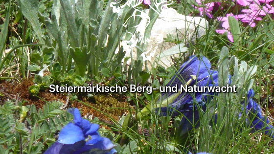 v1_migrated_image_51331064