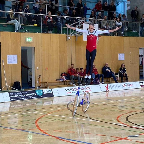 Bild enthält, Adult, Male, Man, Person, Machine, Wheel, Bicycle, Vehicle, Basketball Game, Sport