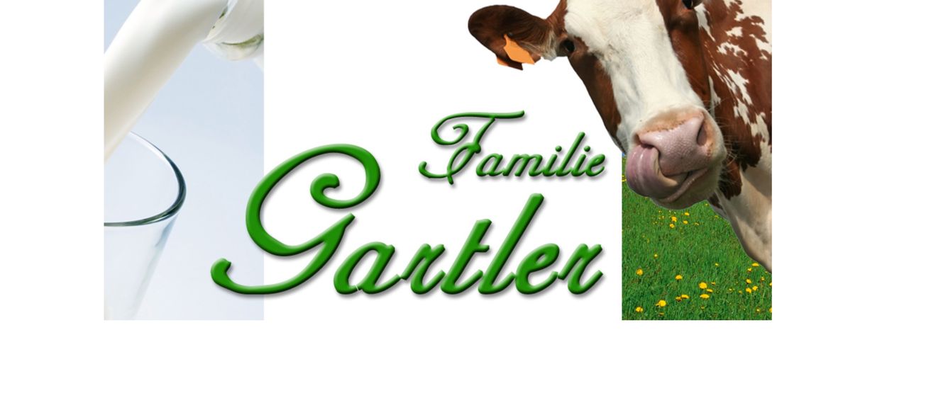 Animal, Cattle, Cow, Livestock, Mammal, Beverage, Milk, Dairy, Food, Head