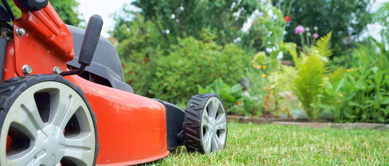 Bild enthält, Grass, Lawn, Plant, Machine, Wheel, Device, Lawn Mower, Tool