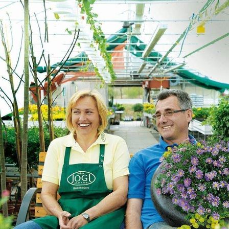 v1_migrated_image_45758680