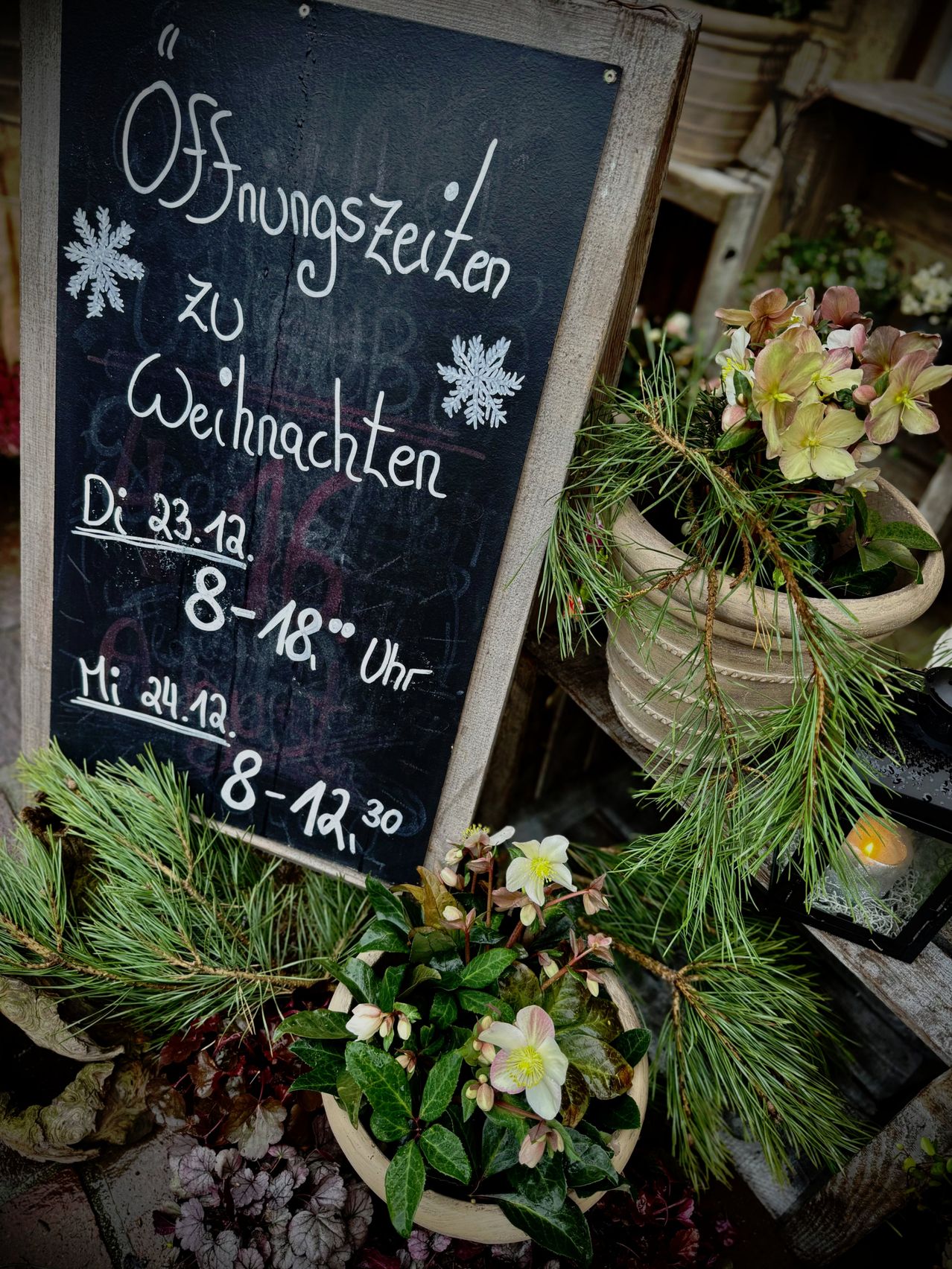 Ein Schwarzes Brett mit Weihnachtsöffnungszeiten wird mit Winterblumen, einem Kerzenlaternen und Tannenzweigen angezeigt.