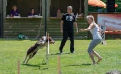 Bild enthält, Adult, Female, Person, Woman, Head, Shoe, Canine, Dog, Grass, Face