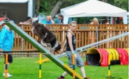 Bild enthält, Person, Canine, Dog, Mammal, Pet, Grass, Plant, Outdoors, Play Area, Shoe