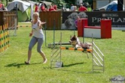 Bild enthält, Grass, Plant, Person, Animal, Canine, Dog, Mammal, Pet, Lawn, Outdoors