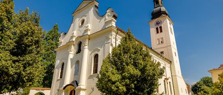Eine große weiße Kirche mit einem Glockenturm steht gegen einen blauen Himmel, umgeben von Bäumen und Grün. Das Gebäude verfügt über Rundbogenfenster und einen zentralen Eingang mit einem Vordach.