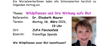 Ein Plakat lädt Interessierte zu einem Vortrag von Dr. Elisabeth Maurer über Wildpflanzen und ihre Wirkung auf das Blut ein, geplant für den 16. März 2026 um 19 Uhr in JUFA Fürstenfeld, mit einer freiwilligen Spende.