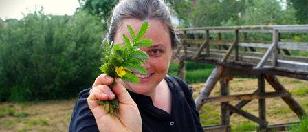 Eine Frau hält eine gelbe Blume in der Hand, lächelt, mit einer Holzbrücke und Grünpflanzen im Hintergrund.