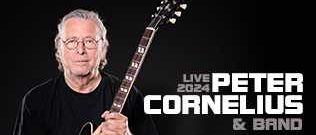 Bild enthält, Guitar, Musical Instrument, Adult, Male, Man, Person, Guitarist, Musician, Performer, Bass Guitar