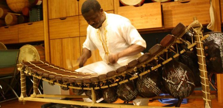 Bild enthält, Adult, Male, Man, Person, Musical Instrument, Music, Musician, Performer, Chair, Furniture