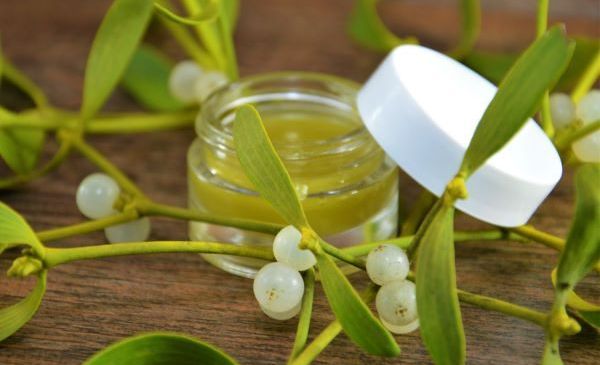 Bild enthält, Leaf, Plant, Tape