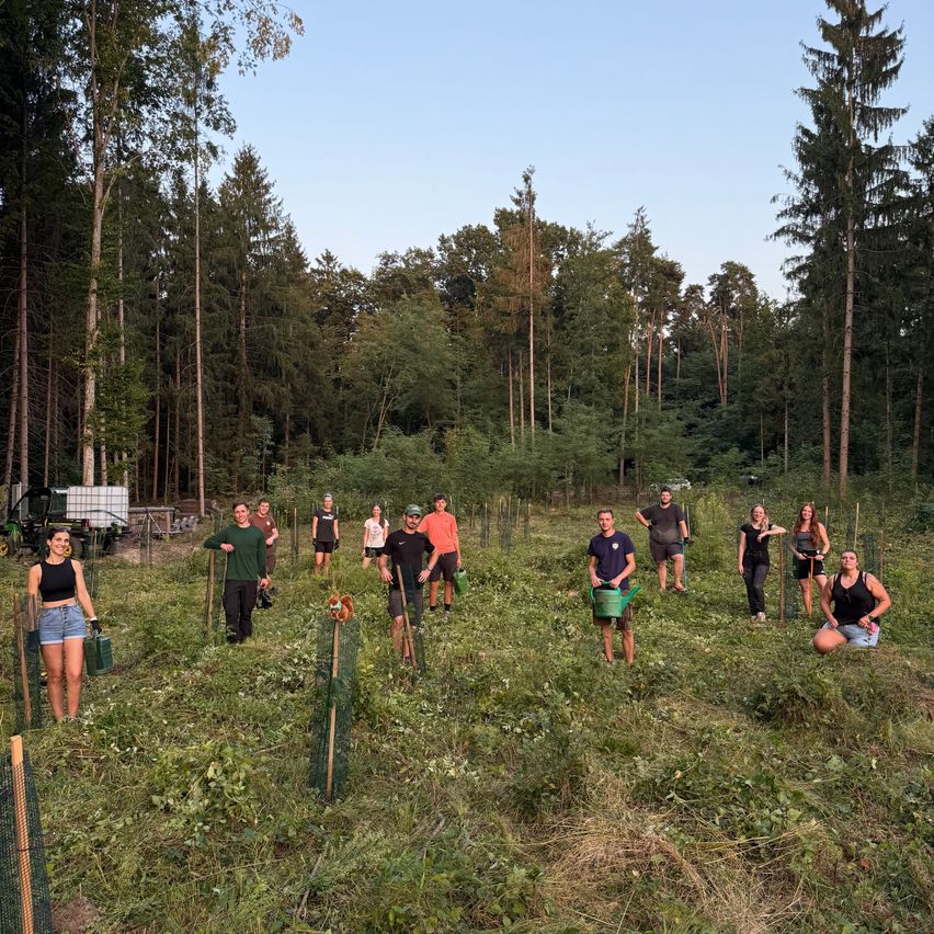 Eine Gruppe von Menschen versammelt sich in einem bewaldeten Gebiet, einige halten grüne Eimer. Sie scheinen an einer Gemeinschaftsgärtnerei teilzunehmen. Bäume umgeben das Gebiet, und einige Menschen sitzen auf dem Boden.