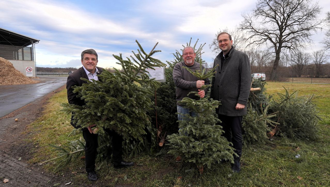 Drei Männer stehen auf einem Feld mit Kiefernbäumen. Einer hält einen Baum, ein anderer zwei Bäume und der dritte hat eine Brille und einen Mantel. Hinter ihnen steht ein Schild und ein bewölkter Himmel.