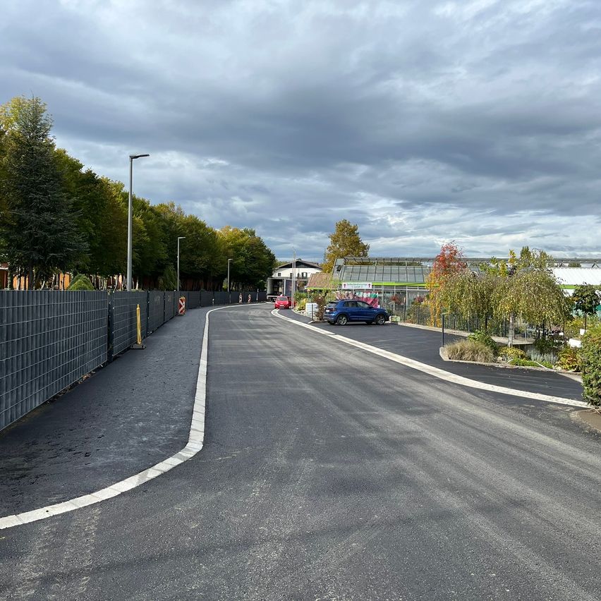 Eine leere Straße mit einer weißen Linie an der Seite. Bäume und Pflanzen sind an den Seiten. Ein blaues Auto ist in der Ferne geparkt.