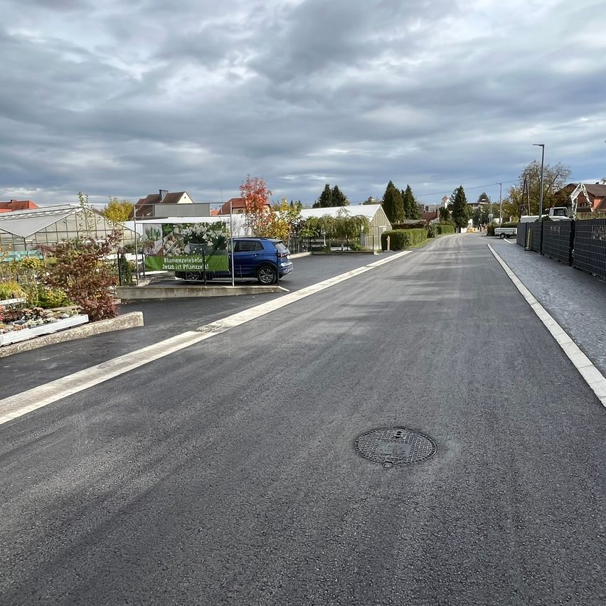 Eine leere Straße mit einem geparkten blauen Auto, einem Schachtdeckel und einem Zaun. Es gibt Pflanzen, Bäume und Häuser in der Umgebung.