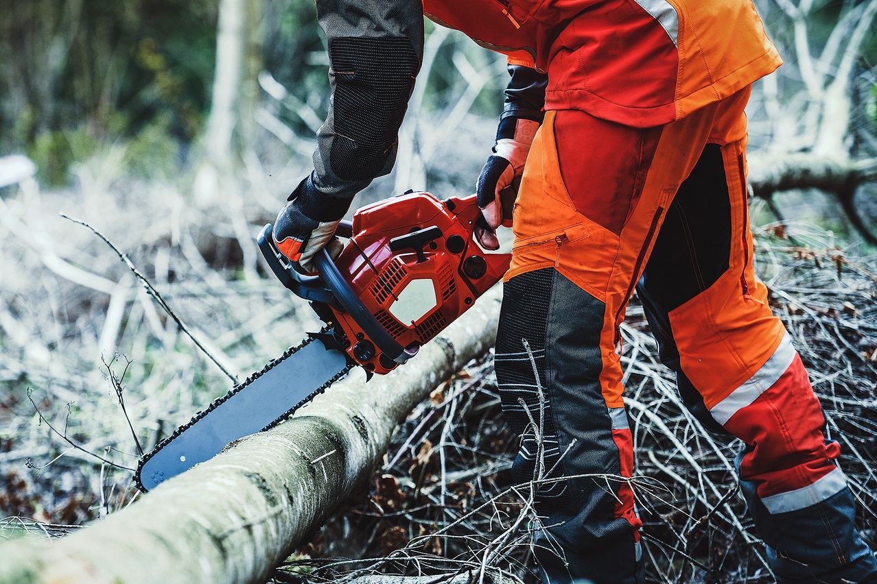 Eine Person in Schutzkleidung schneidet einen Baum mit einer Kettensäge im Wald.