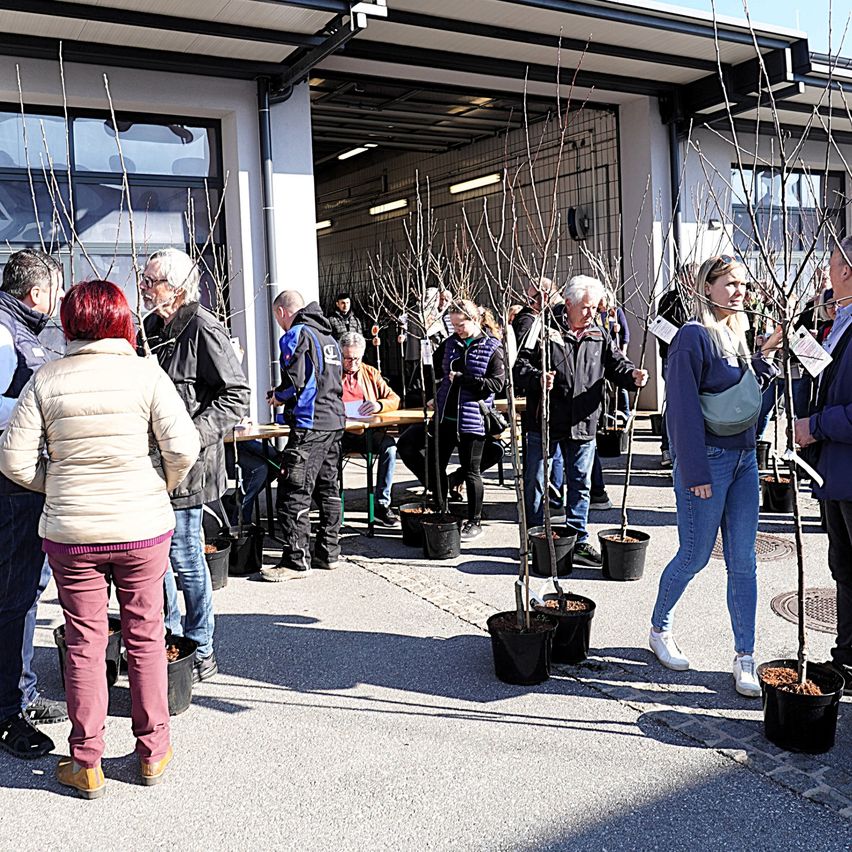 Eine Gruppe von Menschen steht vor einem Gebäude mit einer Glastür. Einige halten Papiere in der Hand und betrachten Topfbäume.