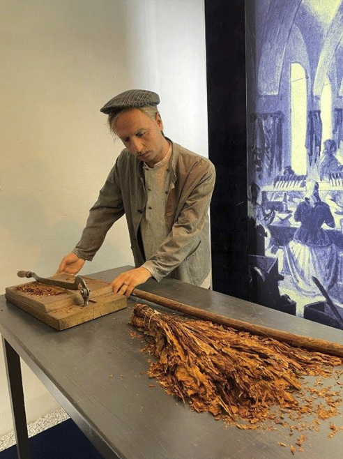 A man in a hat and jacket is using a wooden tool to cut tobacco leaves on a wooden board on a metal table. There is a large painting in the background.