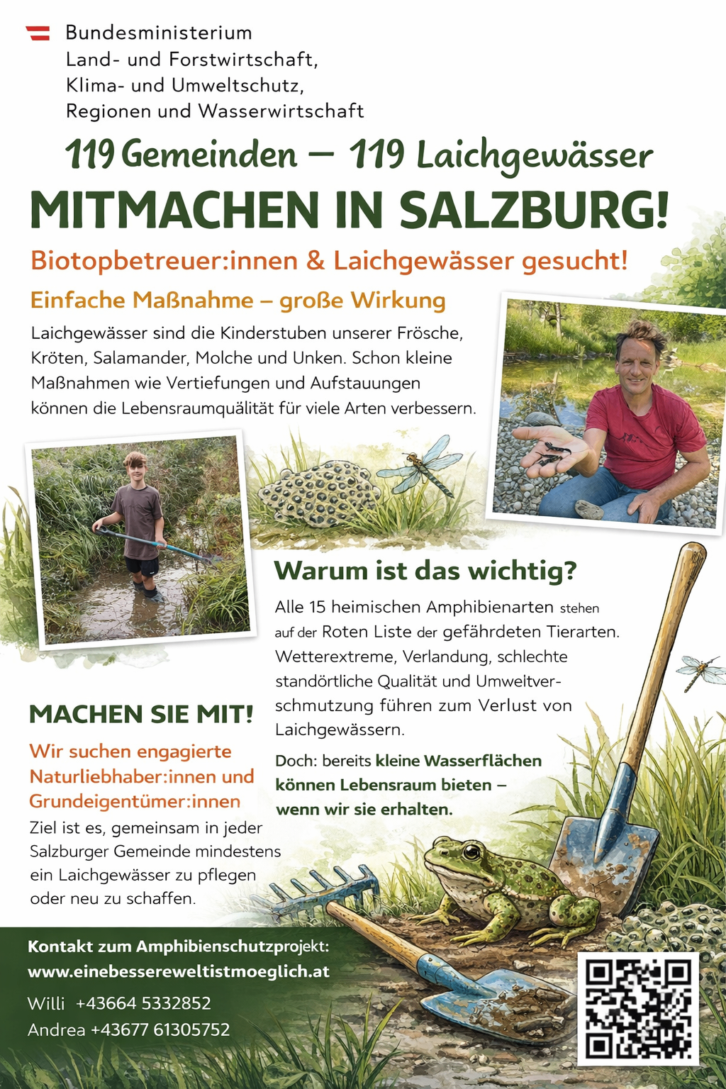 Ein Informationsposter zur Förderung des Amphibienschutzes in Salzburg. Es zeigt einen Mann und ein Kind bei der Teichpflege und betont die Bedeutung kleiner Wasserflächen für das Überleben von Amphibien. Das Poster hebt einfache Maßnahmen hervor, die die Lebensbedingungen für verschiedene Arten erheblich verbessern können.