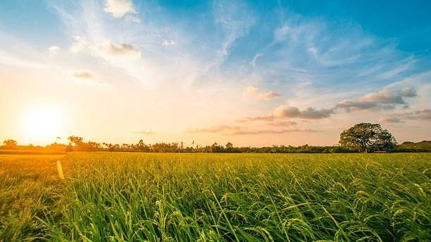 v1_migrated_image_70999837