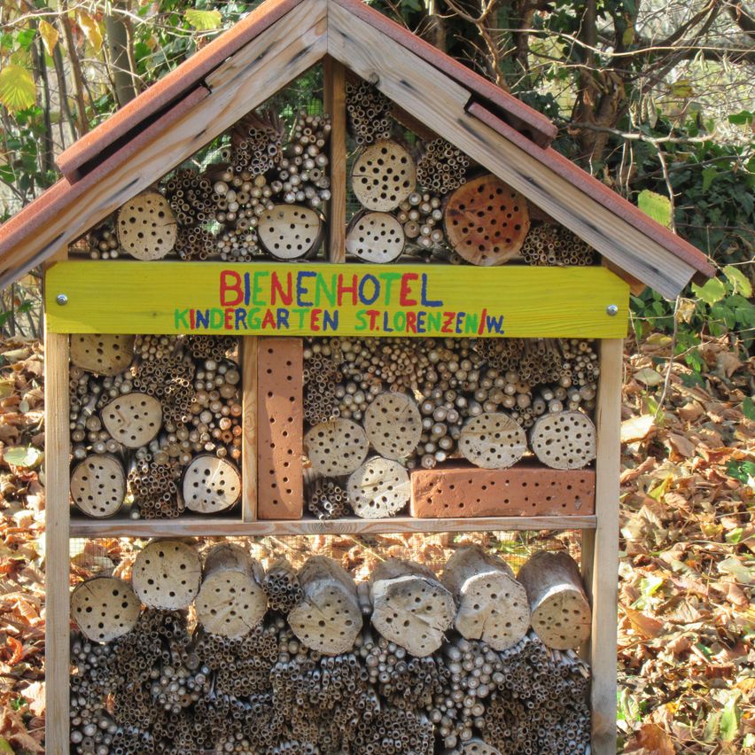 Ein hölzerne Bienenhotel mit einem gelben Schild, das 'Bienenhotel Kindergarten St. Lorenzen/W.' steht. Gefüllt mit hölzernen Röhren und Ziegeln, steht es in einem Wald.