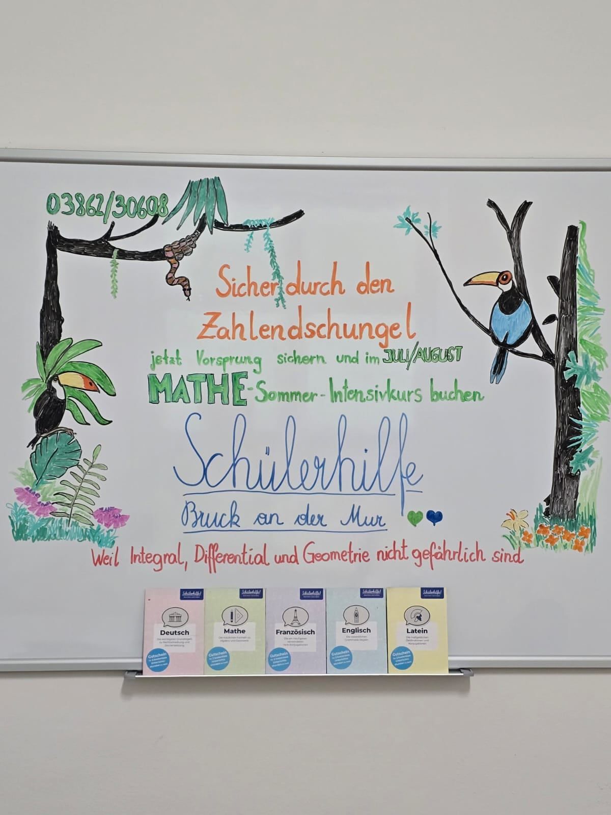 Ein Whiteboard mit farbenfrohen Zeichnungen von Bäumen, Vögeln und Pflanzen. Es enthält eine Botschaft auf Deutsch und Englisch, die einen Sommer-Intensivkurs für Mathematik bewirbt. Unten auf dem Board sind auch Bücher ausgestellt.