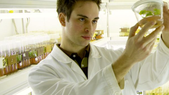 v1_migrated_image_70432708