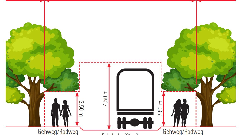 Eine Illustration, die eine Straße mit einem Bus in der Mitte zeigt, mit Maßen für die Straße, den Gehweg und die Bäume markiert.