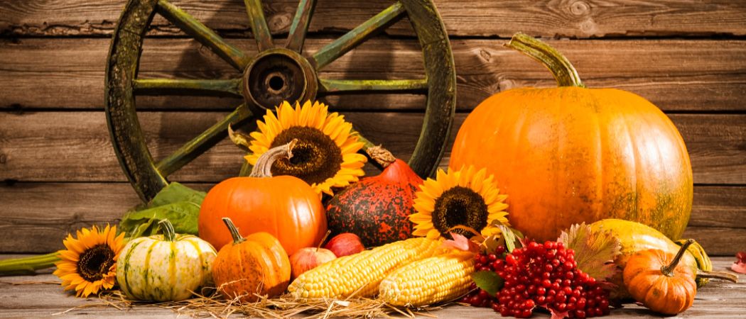 Verschiedene Kürbisse, Mais, Äpfel, Sonnenblumen und rote Beeren sind auf einer Holzoberfläche angeordnet, mit einem Holzrad im Hintergrund.
