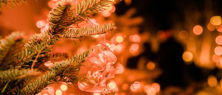 Ein Zweig eines Weihnachtsbaums mit einem durchsichtigen Schädelornament hängt, beleuchtet von festlichen Lichtern im Hintergrund.