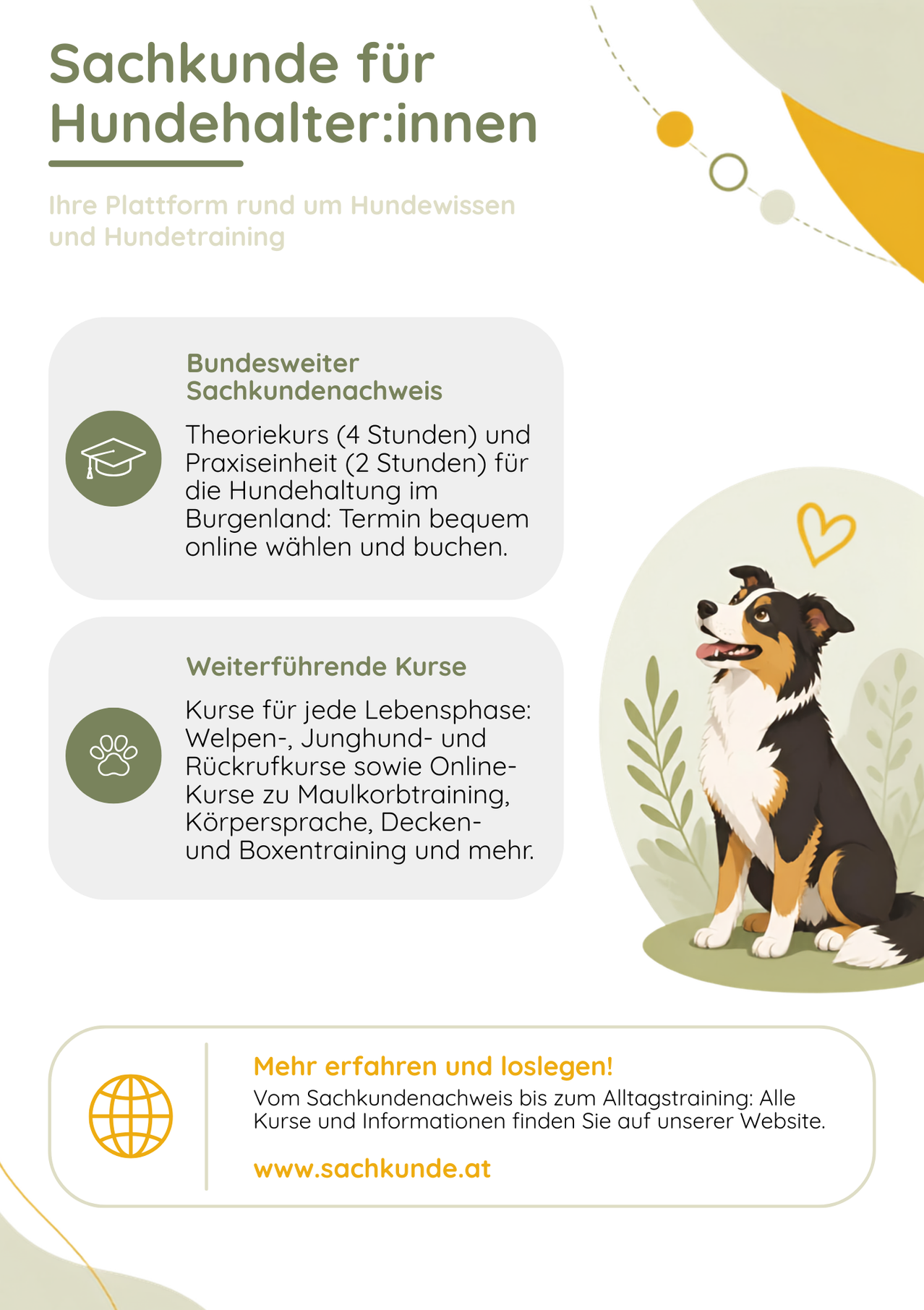 Ein Infografik über eine Hundetraining-Plattform. Es enthält einen Abschnitt über ein Bundesexperten-Hundewissen-Zertifikat mit Theorie- und Praxiskomponenten. Ein weiterer Abschnitt bietet fortgeschrittene Kurse für verschiedene Lebensphasen von Hunden. Das Bild zeigt einen sitzenden Hund mit einem Herzsymbol.
