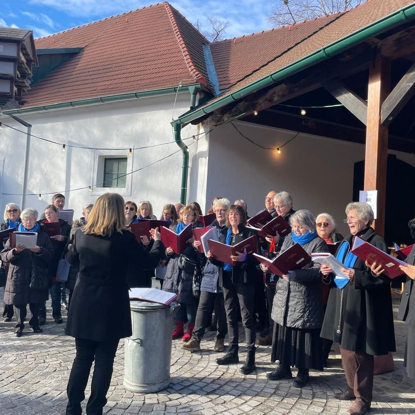 Eine Gruppe älterer Frauen singt gemeinsam vor einem Gebäude mit einem braunen Dach. Eine Frau in Schwarz führt sie und hält ein Buch.