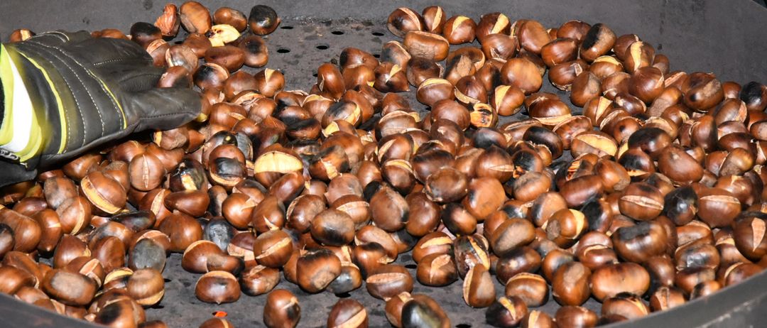 Eine große Metallschüssel voller gerösteter Kastanien. Die Nüsse sind braun und schwarz, einige sind noch in ihrer Schale.