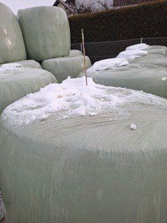 Ein Stapel grüner, runder Heuballen, mit Schnee bedeckt, in einer Reihe in der Nähe eines Zauns angeordnet.
