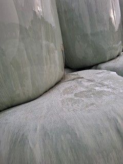 Mehrere große, zylindrische Ballen aus Stroh oder getrocknetem Gras, in hellgrüne Plastikfolie eingewickelt, aufgeschichtet.
