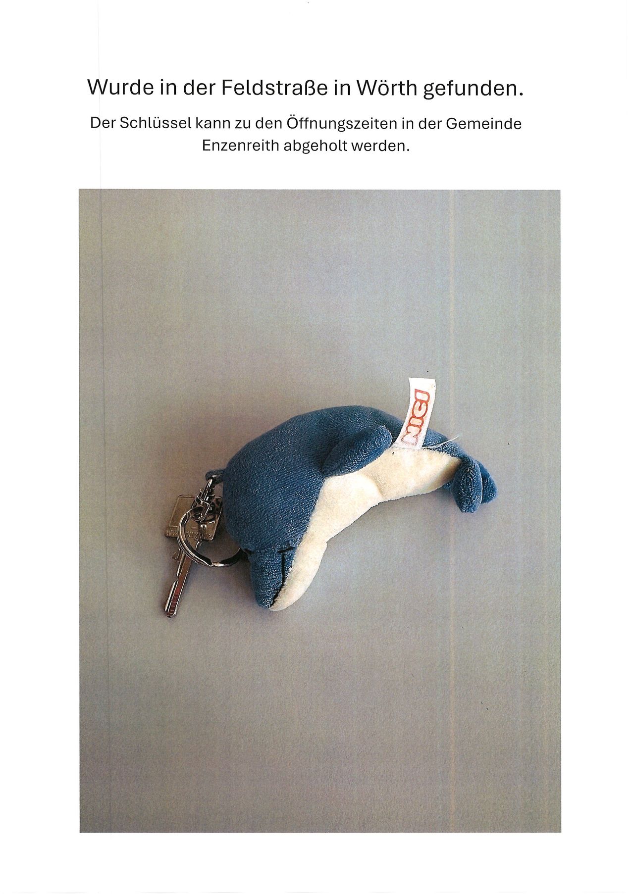 A soft blue and white plush keychain shaped like a dolphin with a silver key on a gray background.