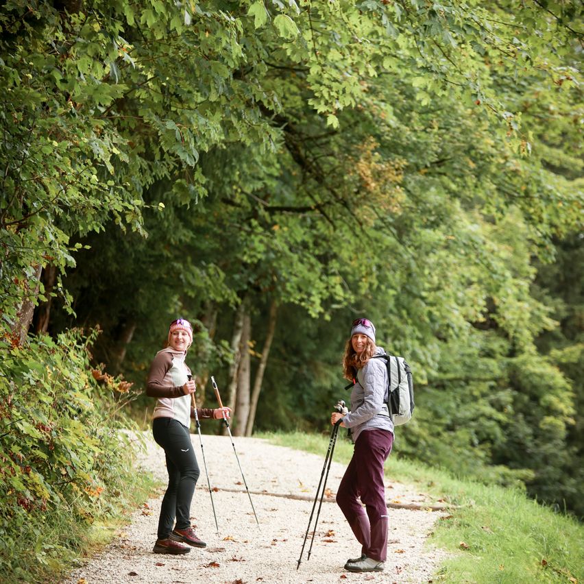 Zwei Frauen wandern auf einem Schotterweg mit Rucksäcken, umgeben von üppigem Laub. Sie tragen Mützen, Jacken und Wanderausrüstung. Die Sonne scheint durch das Blätterdach.