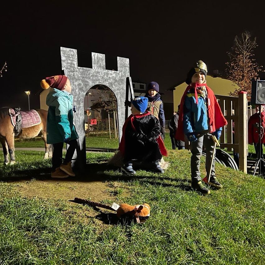 Bild enthält, Person, People, Grass, Plant, Animal, Horse, Mammal