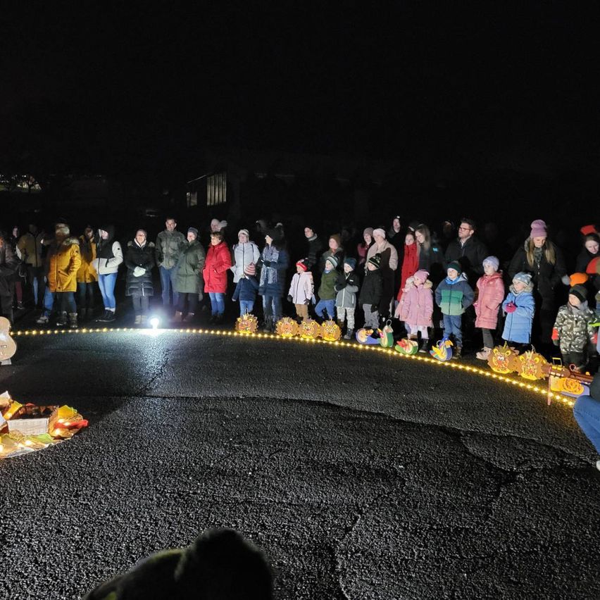 Bild enthält, Person, Guitar, Musical Instrument, Urban, Festival, Canine, Dog, Mammal, Pet, Diwali