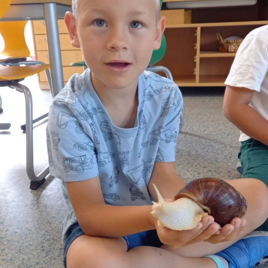Ein junger Junge in einem blauen T-Shirt mit Lkw-Aufdruck hält eine Schnecke in den Händen, während er auf dem Boden sitzt. Hinter ihm sitzt ein weiteres Kind, und im Hintergrund befinden sich Holzregale.