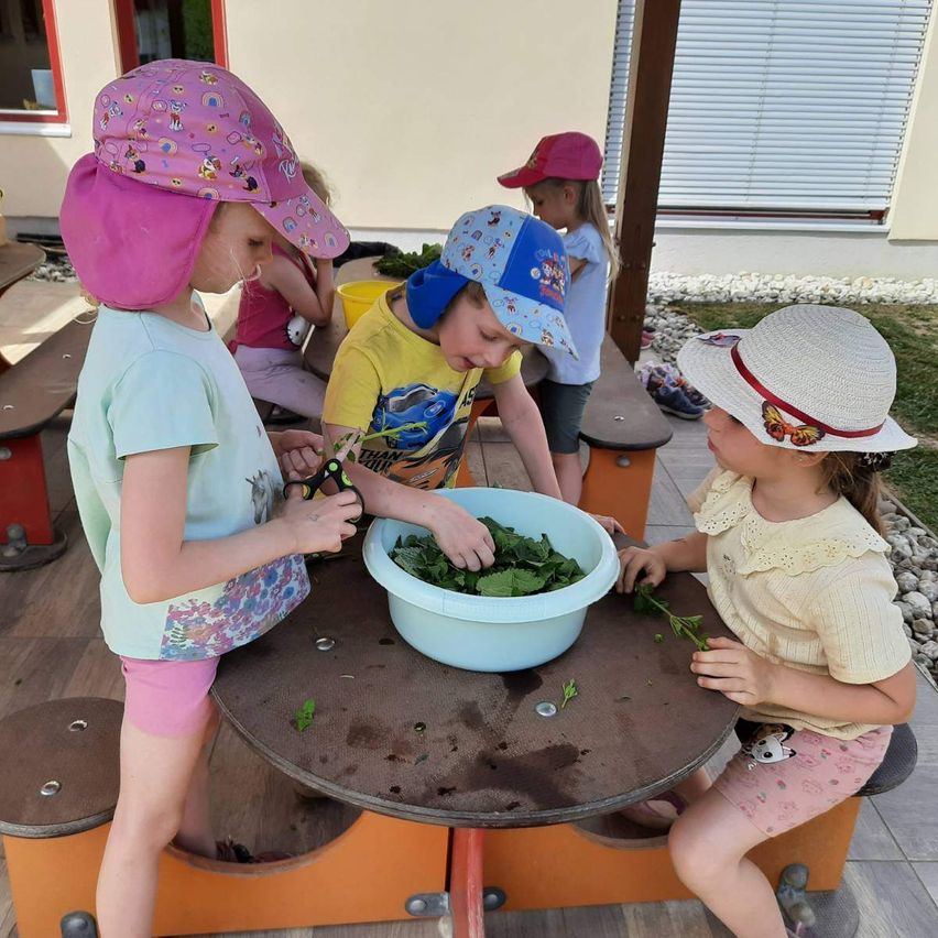 Vier Kinder sitzen um einen Tisch herum und beschäftigen sich mit einer Aktivität. Ein Kind hält eine Schere und scheint Kräuter zu schneiden. Ein blauer Teller mit grünen Kräutern steht auf dem Tisch. Die Kinder tragen Hüte und Freizeitkleidung.