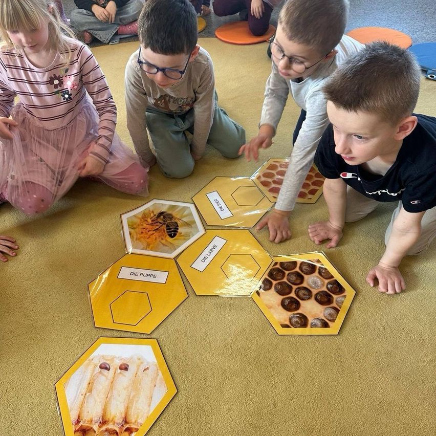 Mehrere Kinder sitzen auf einem Teppichboden und untersuchen sechseckige Stücke, die auf Deutsch beschriftet sind. Ein Kind beobachtet eine Biene genau, während andere mit den Stücken interagieren.