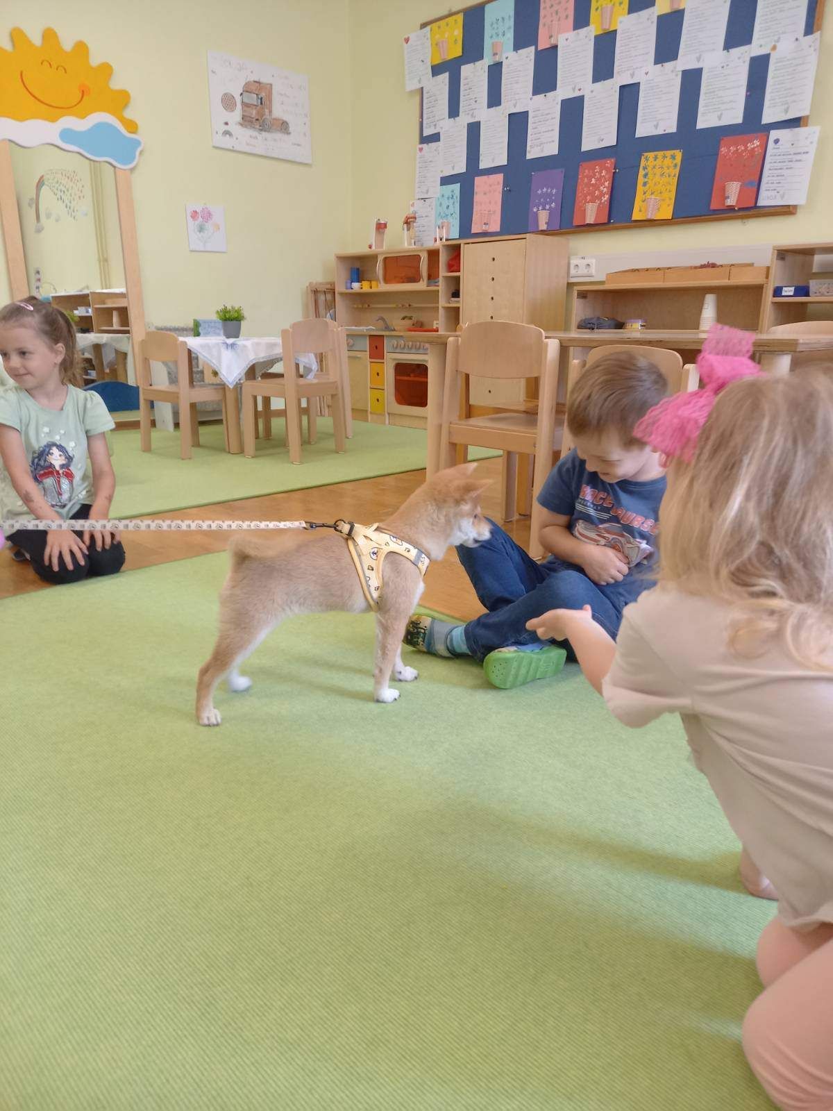 Drei Kinder spielen mit einem kleinen Hund an der Leine im Klassenzimmer. Der Hund steht zwischen einem Jungen und einem Mädchen.