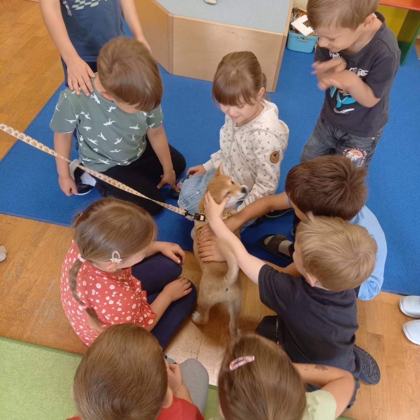 Kinder sitzen im Kreis mit einem Hund in der Mitte. Der Hund wird von einem Mädchen gehalten. Sie tragen alle Freizeitkleidung.