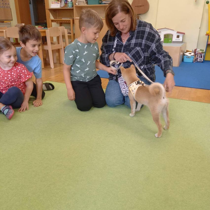 Eine Frau hält die Leine eines kleinen Hundes, während Kinder in der Nähe auf einem grünen Teppich zusehen. Sie sind alle in einem Raum mit Holzstühlen und einem Spielbereich.