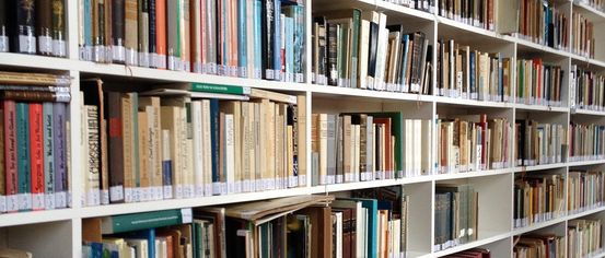 Furniture, Bookcase, Book, Indoors, Library, Publication