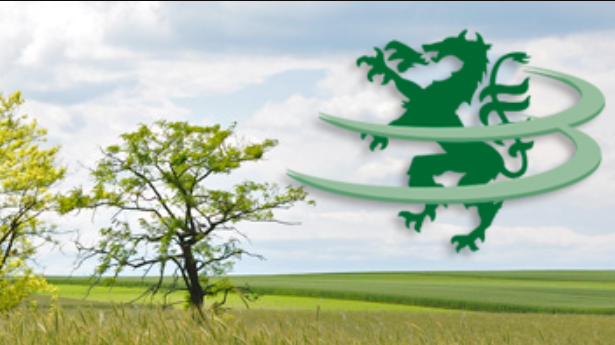 v1_migrated_image_31018953