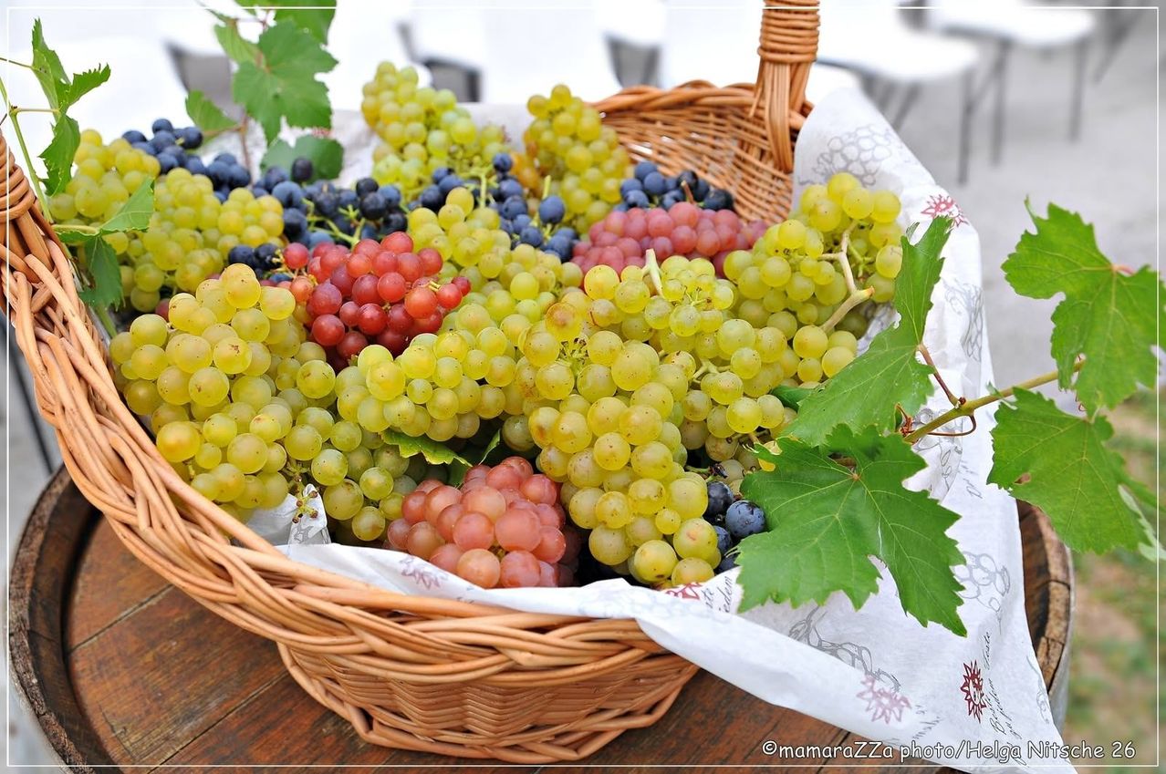 Ein Korb aus Weide mit einer Mischung aus roten, grünen und blauen Trauben, auf einem Holztisch.